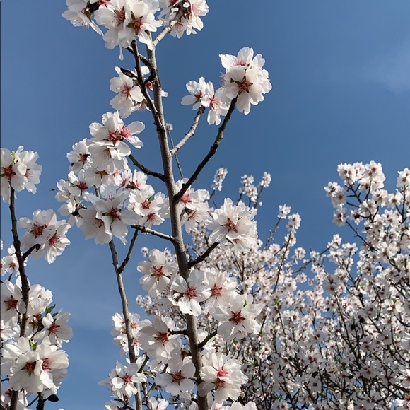 Meet your Posher, Bia! - Picture 1 of 1